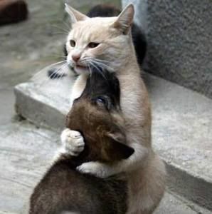 Meet your Posher, Donna jean